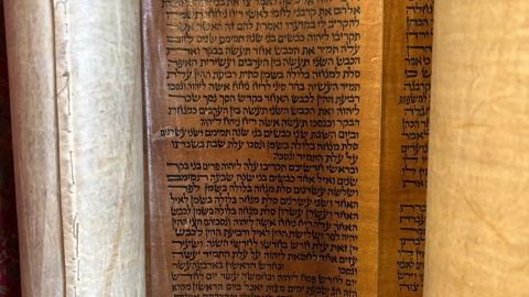  חוות מעוז צבי