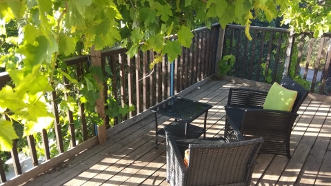 המרכז הטבעי ביצהר