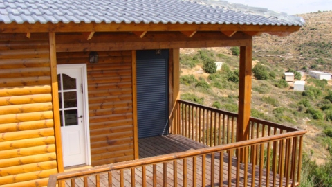 הצריף של תמרי