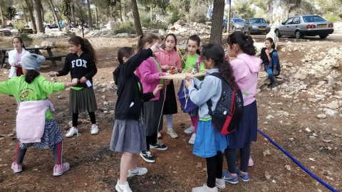 או.די.שיא - פעילות ODT שתביא אתכם לשיא