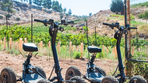 סיורי שטח יקב כביר