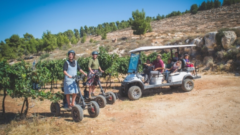 סיורי שטח יקב כביר