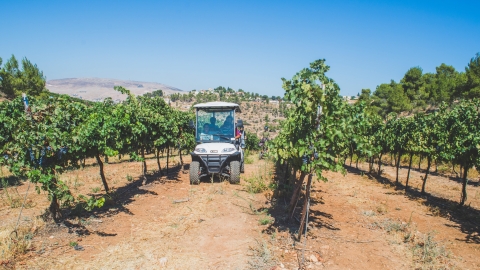 סיורי שטח יקב כביר