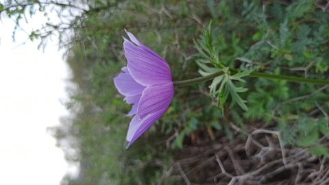 מעמק להר - תיירות וטיילות בצפון השומרון