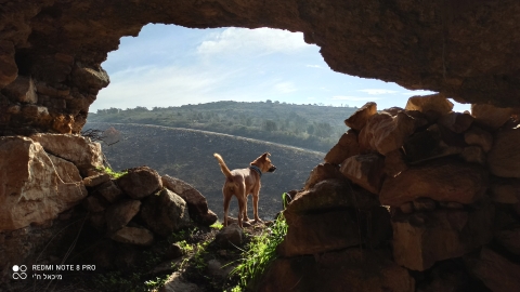 מעמק להר - תיירות וטיילות בצפון השומרון
