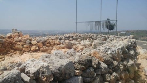 מצפה הדר- סלעית