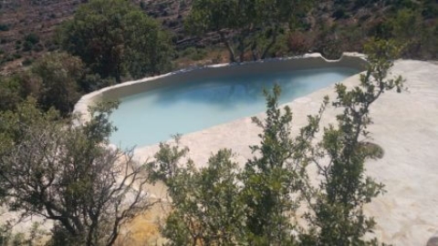 בריכות גידי