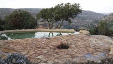 בריכות גידי