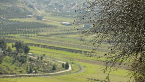 שמורת האלות אטלנטיות