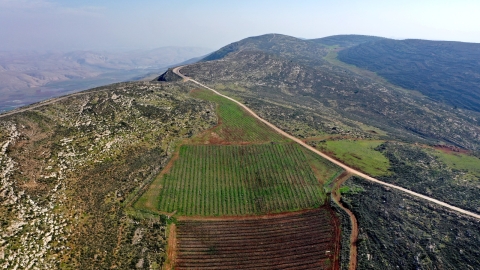 חוות השקדים