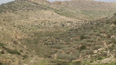 חורבת צרידה