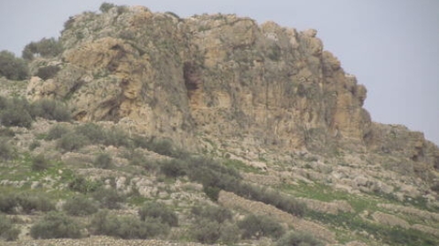 חורבת צרידה