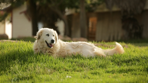 חוות גבעות עולם