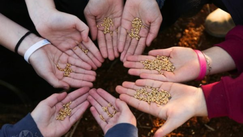 מרכז סיור ולימוד שומרון