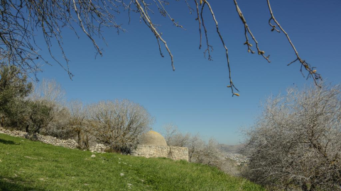 מרכז סיור ולימוד שומרון