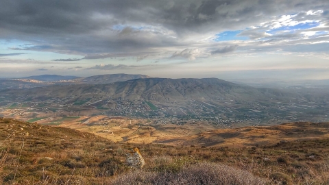 צימרבוס שומרון
