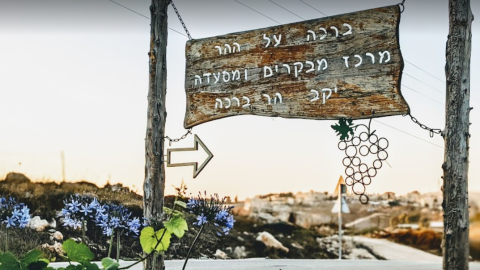 מרכז מבקרים-יקב הר ברכה