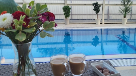 בריכת לוטוס