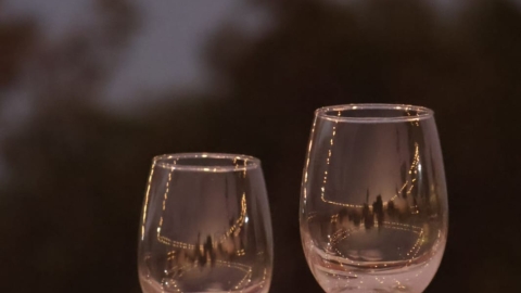 חוות אל נווה