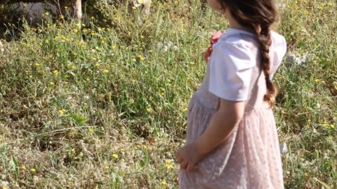 חוות אל נווה