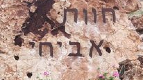 חוות אביחי - משק מלט 