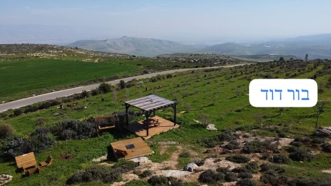 הפינה של דוד