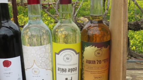 יקב טל מנשה