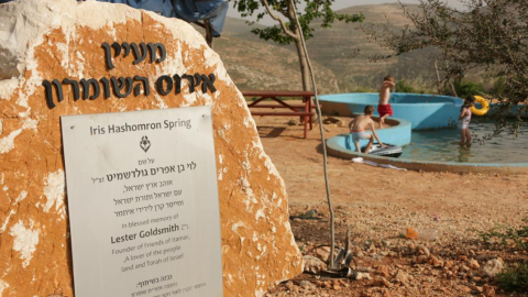 אירוס השומרון