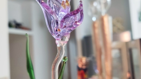 מרכז הרועים- אומנות זכוכית‬‎