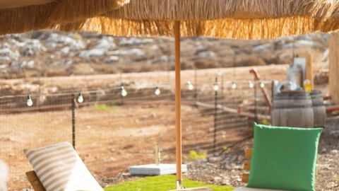 חאן בין הכרמים