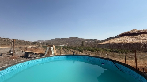 חאן בין הכרמים