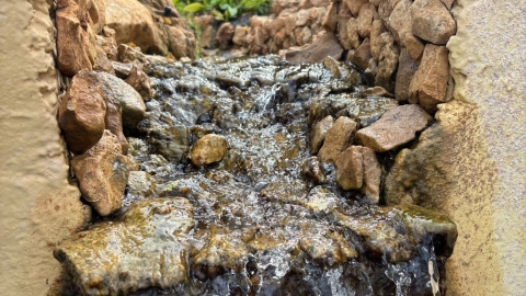 מעיין ידידיה ושביל הגבורה