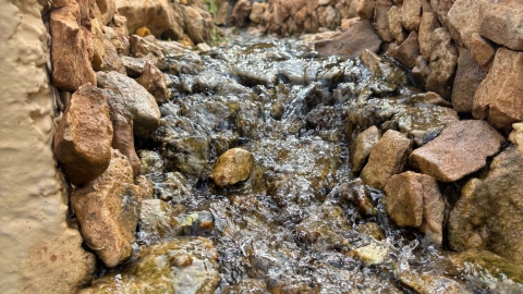 מעיין ידידיה ושביל הגבורה