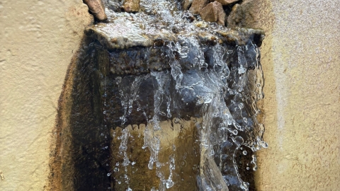 מעיין ידידיה ושביל הגבורה