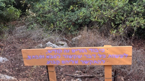 מעיין ידידיה ושביל הגבורה