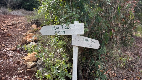 מעיין ידידיה ושביל הגבורה