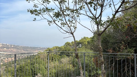 מעיין ידידיה ושביל הגבורה