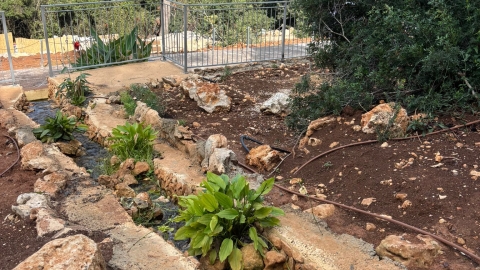 מעיין ידידיה ושביל הגבורה