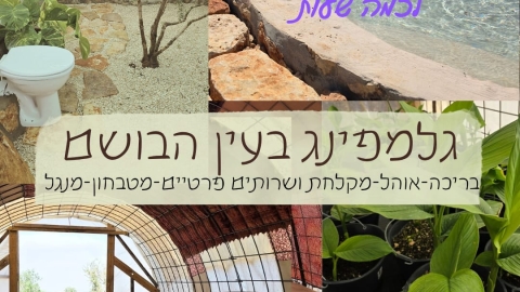 עין הבושם