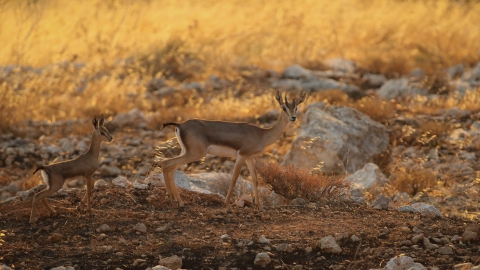 20220623193346_LM4_7702 (2).jpg