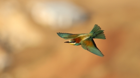 20230616181553_0C5A8772 (1).jpg