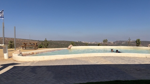 פארק ידידיה