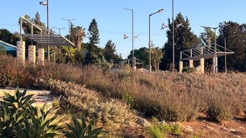 טיילת ומצפה הראל קוריאט